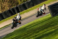 Oulton-Park-20th-March-2020;PJ-Motorsport-Photography-2020;anglesey;brands-hatch;cadwell-park;croft;donington-park;enduro-digital-images;event-digital-images;eventdigitalimages;mallory;no-limits;oulton-park;peter-wileman-photography;racing-digital-images;silverstone;snetterton;trackday-digital-images;trackday-photos;vmcc-banbury-run;welsh-2-day-enduro